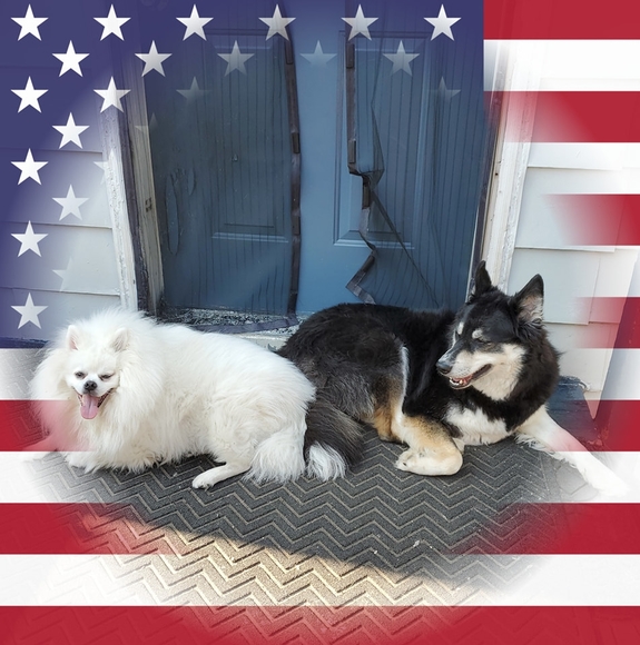 Meet your Posher, Bob - Picture 1 of 1